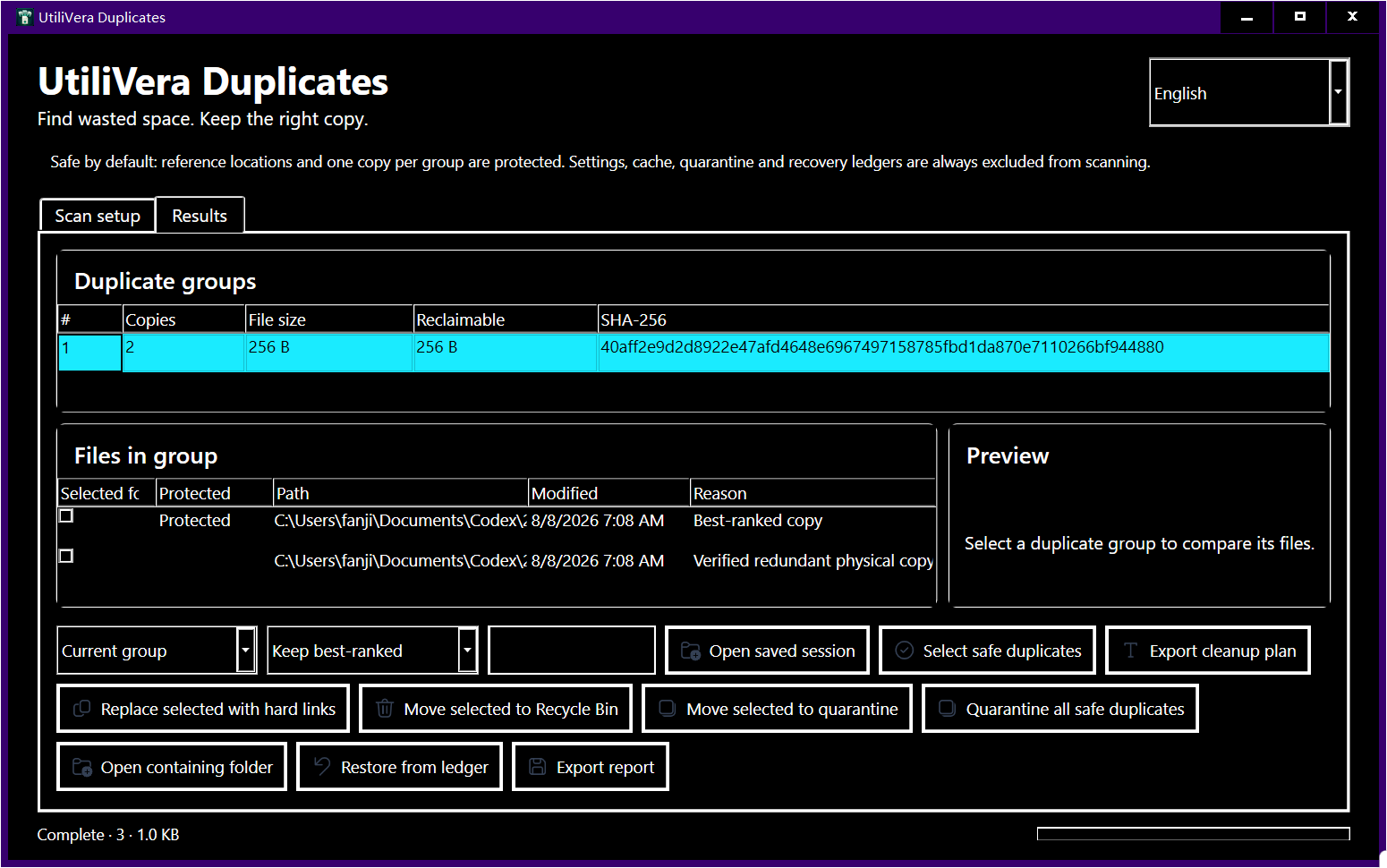 High contrast duplicate results with groups, protected copy, cleanup controls, and status